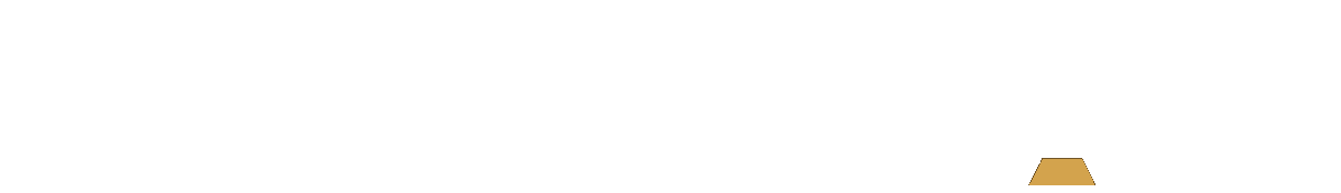 TORAI